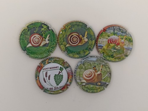 Lot capsule de mousseux - capsule,