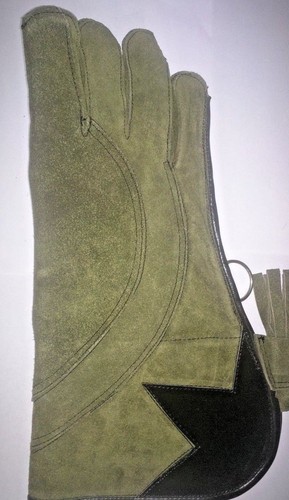 Fauconnerie taille aigle - fauconnerie, s