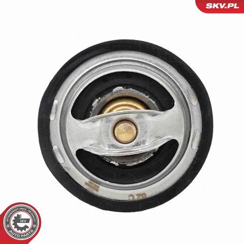 For skv germany 20skv244 - for,