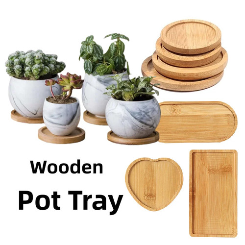Plateau bois succulente - plateau,