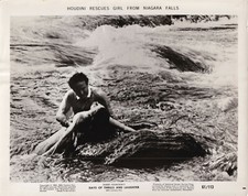 Houdini Le maître du Mystère