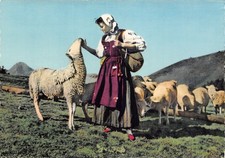 65 LES PYRENEES UNE BERGERE