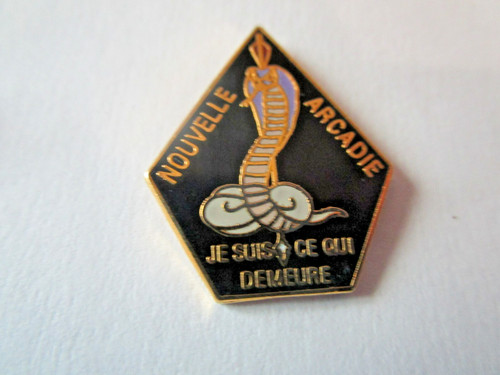 Pin tir arc - tir, '