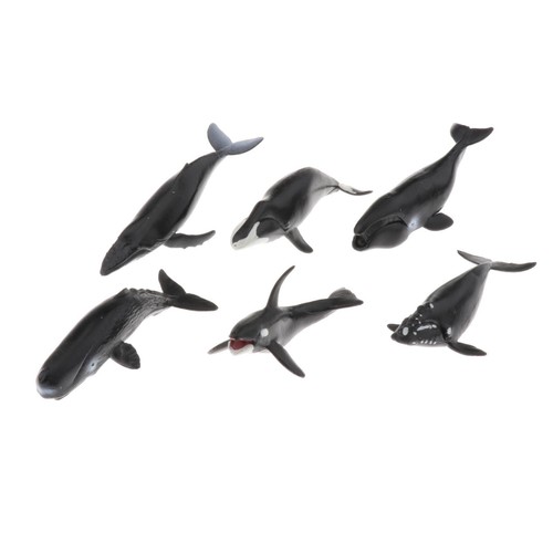 Animal marin figure baleine - 6x,