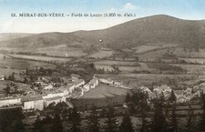Carte MURAT SUR VEBRE Forêt