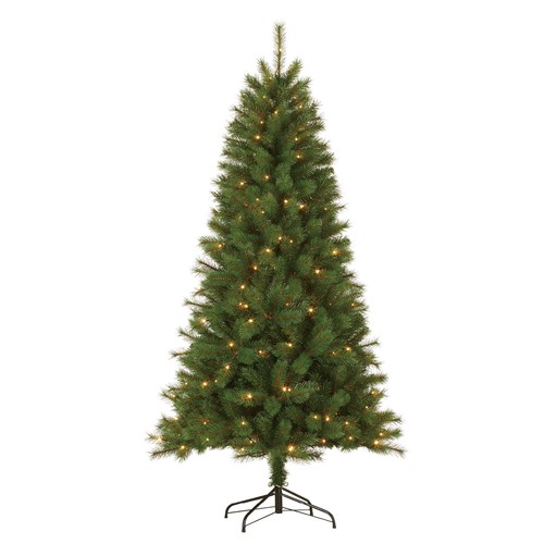 Giftsome sapin noël - giftsome,