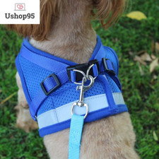 Gilet Harnais avec Laisse en