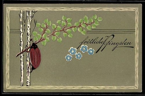 Carte postale relief - postale,