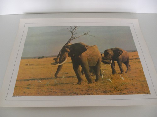 Ancienne planche affiche - ancienne,