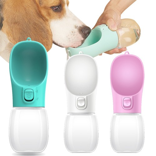 Bouteille eau portable pour - bouteille,
