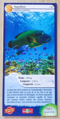 Carte merveilles monde - merveilles, du