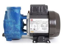 Sundance Whirlpool Pompe de