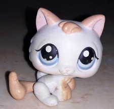 Petshop chat chaton 134