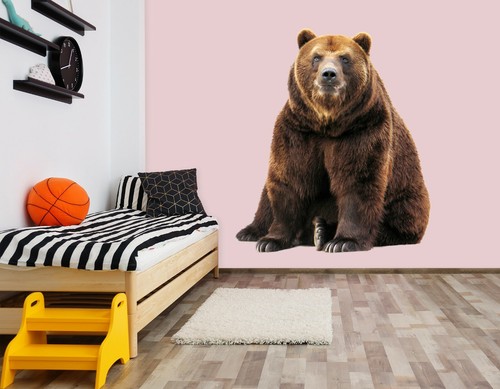 Ours brun c88 animal papier - ours,