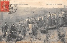CPA 21 CHEVREY / LA VENDANGE