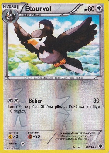 Etourvol reverse - reverse,