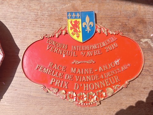 Grande plaque concours - grande,