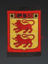 ÉCUSSON GROUPEMENT 30 FOCH