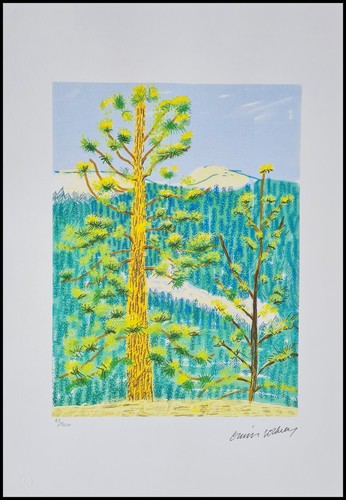 David hockney the yosemite - hockney,