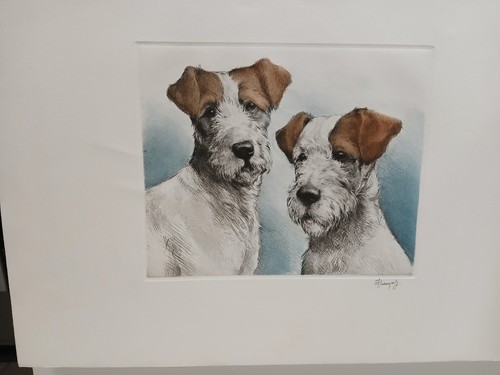 Eau forte les fox - eau-forte, terrier"