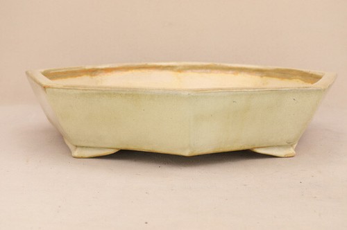 Pot bonsaï jidai koto - pot, à