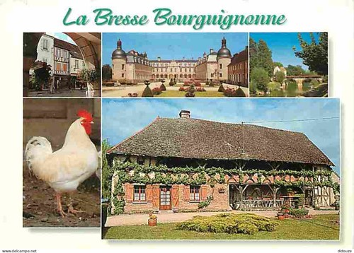Carte postale ain - postale,