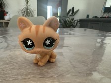 Petshop chat sphynx #649