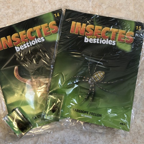 Collection insectes autre - collection,
