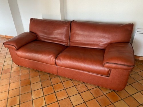 Canapé cuir roche bobois - cuir,