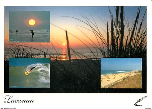 Carte postale lacanau - carte,