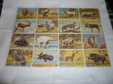 ANCIEN PUZZLE EN BOIS ANIMAUX