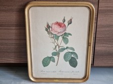 Ancien tableau feuille rose