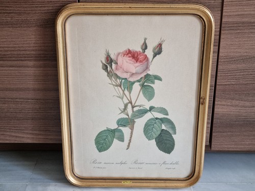 Ancien tableau feuille rose