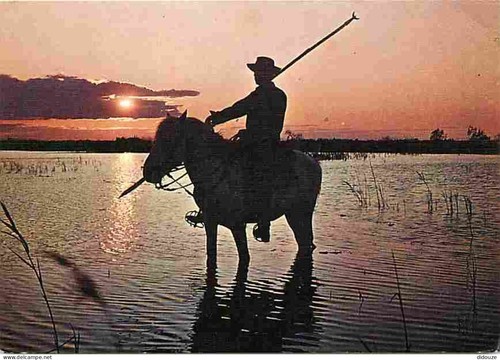 Carte postale animaux - carte,