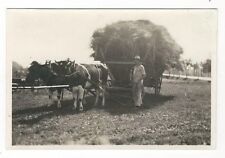 7/351 Photo Bauer Agriculteur