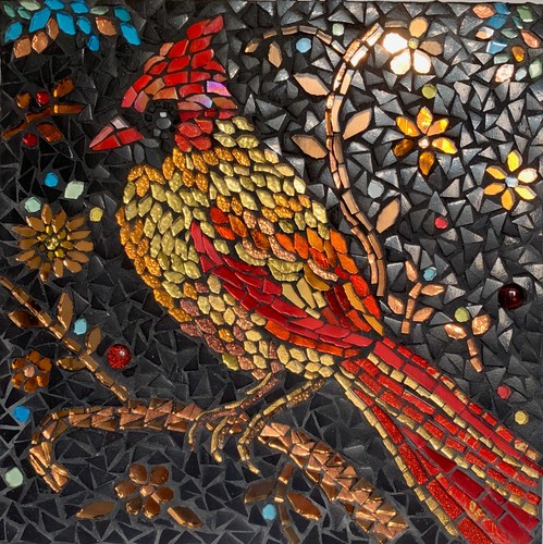 Oiseau cardinal coloré - ,
