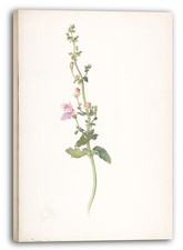 Toile/Cadres Margaret Neilson Armstrong - Fleur sauvage américaine avec des fle