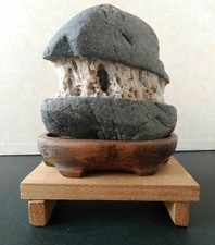 Suiseki Bonseki Bonsai Jardin