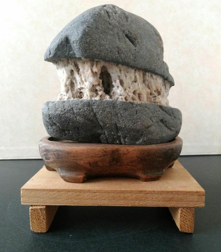 Suiseki bonseki bonsai - bonseki, jardin
