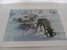 ANCIENNE PLANCHE AFFICHE