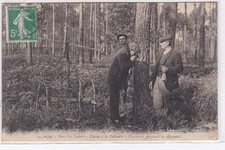 DANS LES LANDES : chasse à la