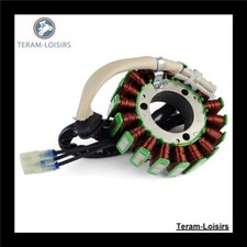 Stator Allumage pour Polaris