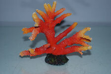 Détaillé Aquarium Corail