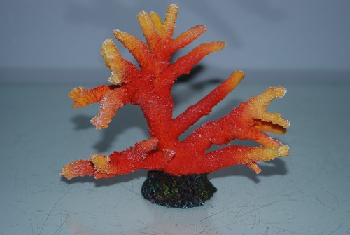 Détaillé aquarium corail - détaillé,