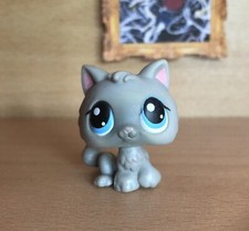 figurine PETSHOP Chaton 66 Aux