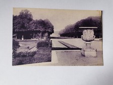 CPA 78 Parc de VERSAILLES - Le Tapis Vert