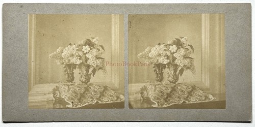 Nature morte fleurs - morte, le