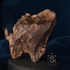 TOP Météorite Gebel Kamil