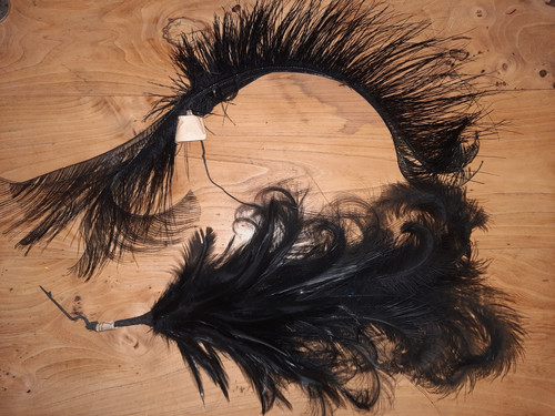 Lot anciennes plumes droite - 2,