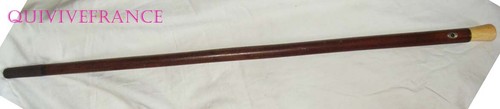 Can3004 canne jonc de - jonc,